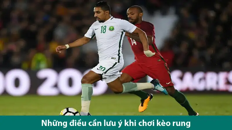 Tìm hiểu về các loại cược và những lưu ý khi chơi kèo rung