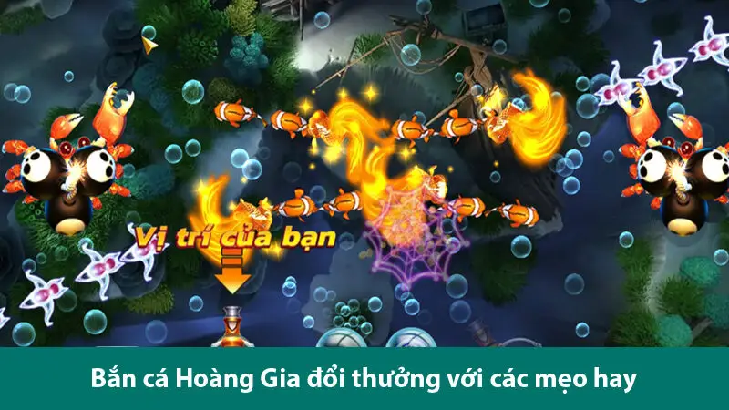 Trải nghiệm game bắn cá Hoàng Gia đỉnh cao với các mẹo chơi đơn giản