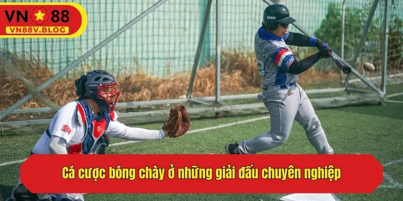 Cá cược bóng chày ở những giải đấu chuyên nghiệp