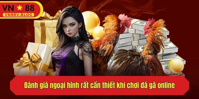 Đánh giá ngoại hình rất cần thiết khi chơi đá gà online